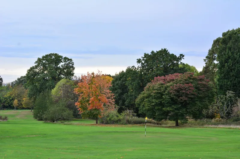 Golf im Herbst 2024: Perfekte Bedingungen & goldene Saison