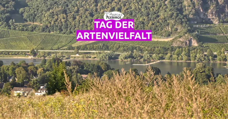 Tag der Artenvielfalt