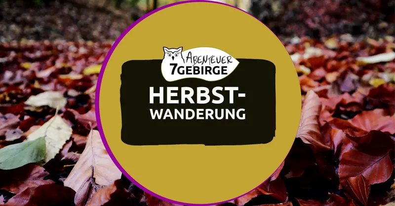 Herbstwanderung im Siebengebirge