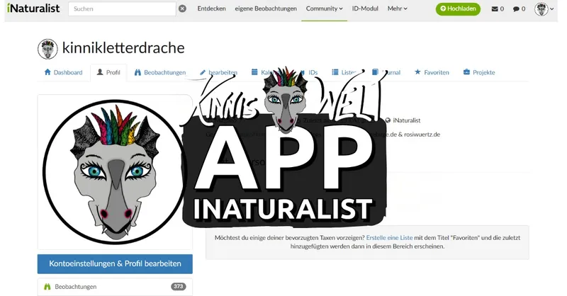 Kinni macht bei iNaturalist mit