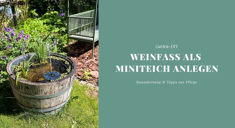 Garten-DIY: Weinfass als Miniteich anlegen