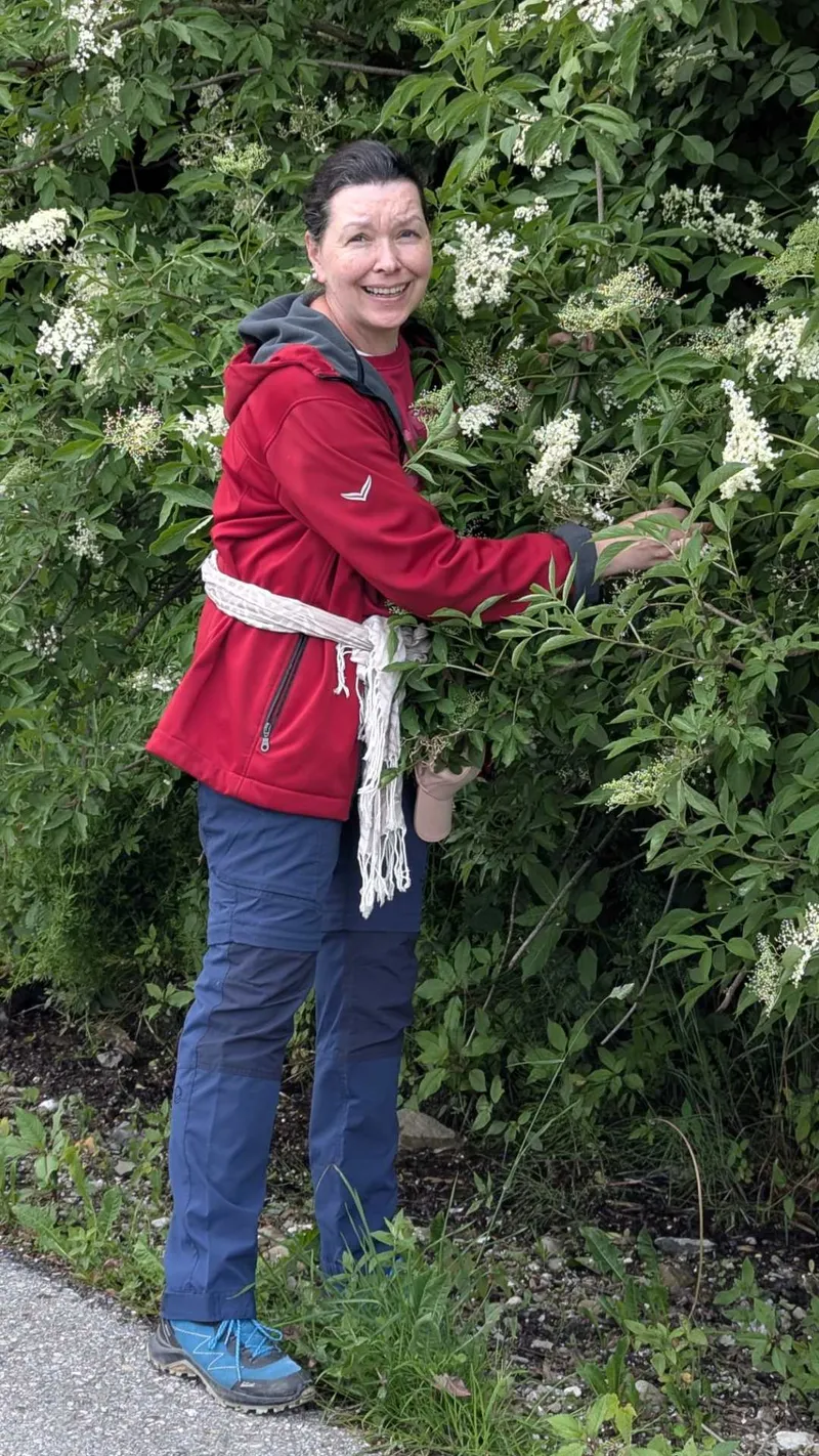 Holunderblüten: Viel mehr als nur Sirup