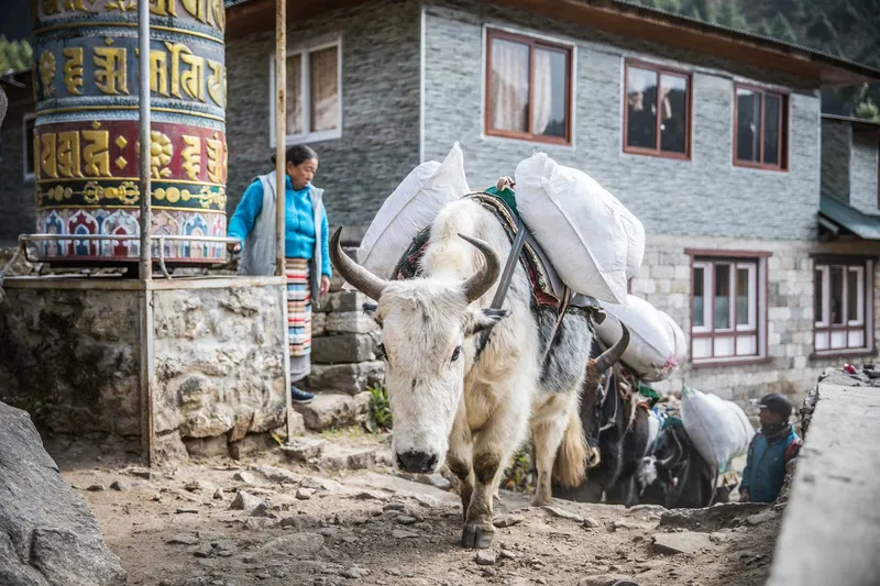 Namche Bazar – Tor zum Everest