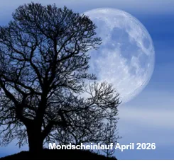 4. Mondscheinlauf 2.4.2026