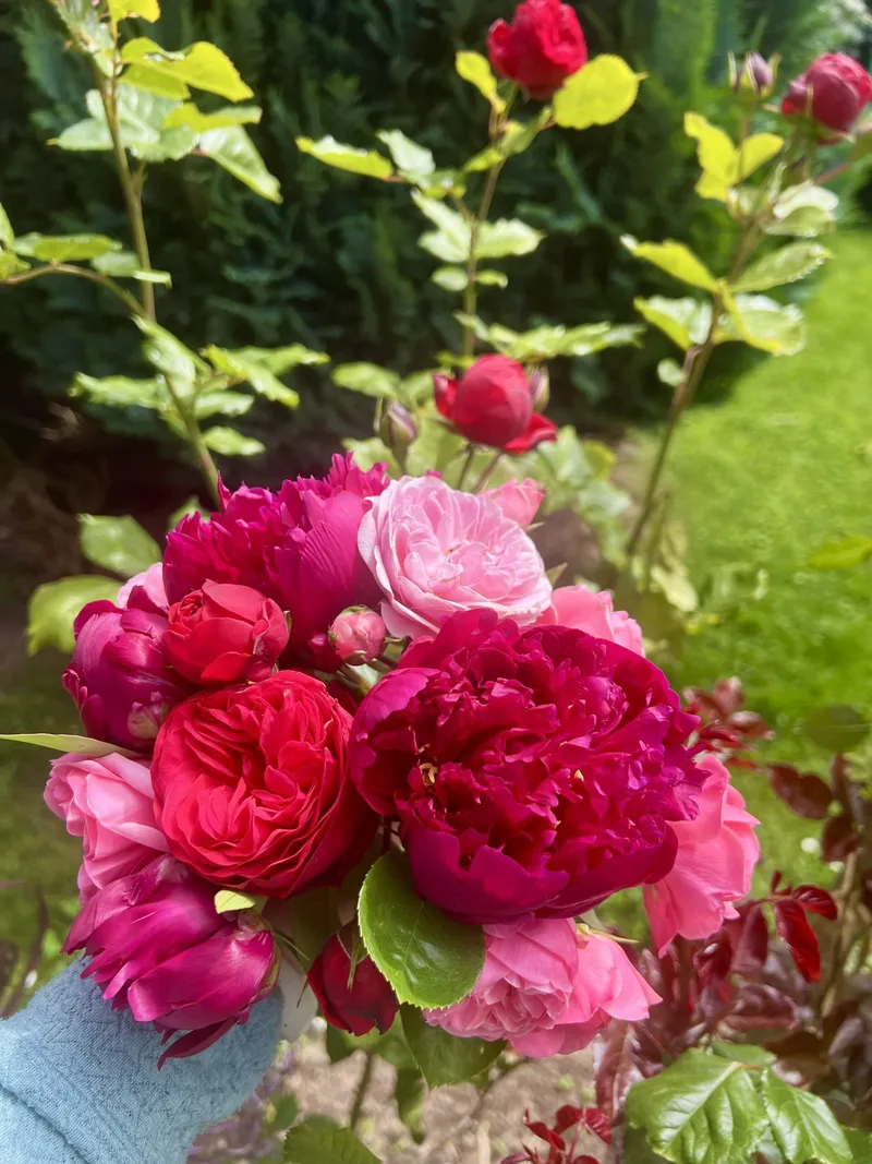 Der Sommer, in dem ich offiziell kein kleines Kind mehr habe
