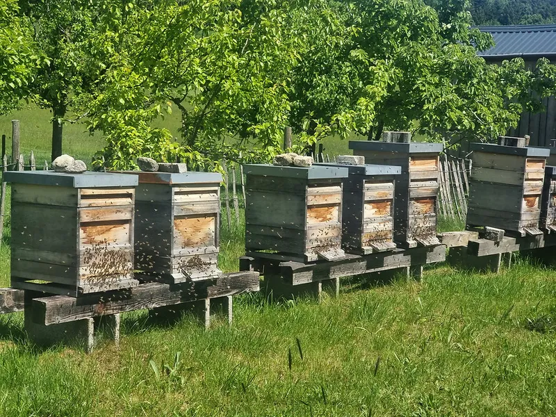 Von Honig, Bienenwachs & Oxymel