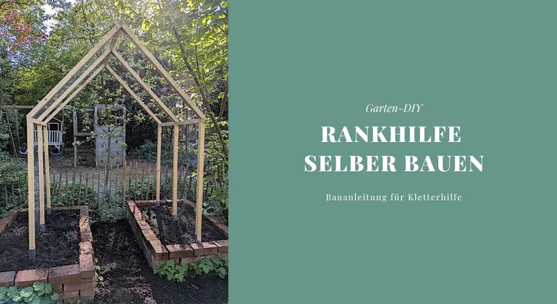 Garten-DIY: Rankhilfe selber bauen