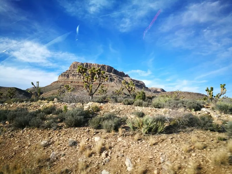 Arizona Guide – Sehenswürdigkeiten und Reisetipps