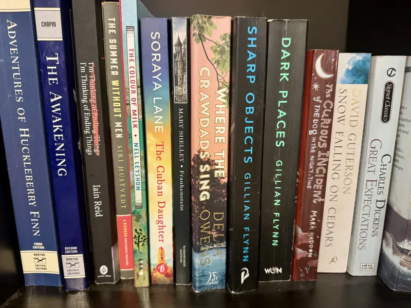 Die besten Bücher für den Urlaub: 10 Romane für den Sommer