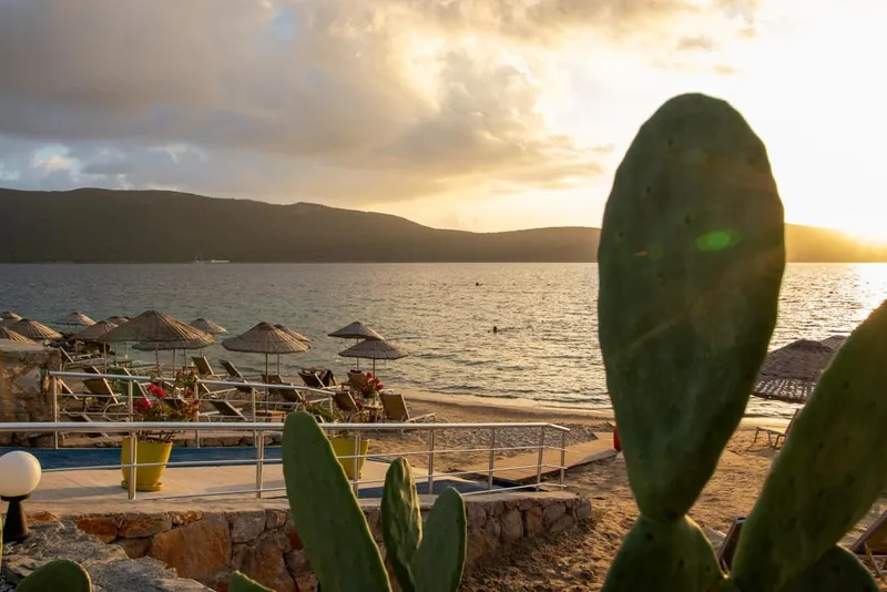 Entspannen und vegan Schlemmen in Bodrum (Türkei)