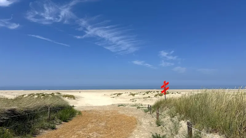 KW25-26 Emden, Erholung auf Juist inkl. Strandkorb und Fahrt zu den Seehundbänken