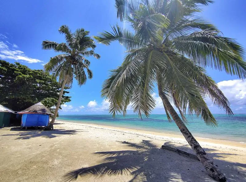 Reisebericht Samoa – Fales, Taro, Palusami & mehr pazifische Besonderheiten