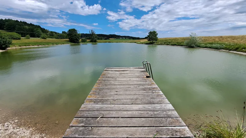 Irgendwer hat immer noch einen Tipp – den Schmiedsee zum Beispiel