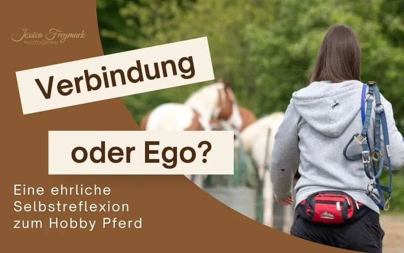 Verbindung oder Ego? Eine ehrliche Selbstreflexion zum Hobby Pferd
