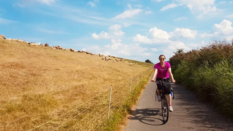 4 Tage Elberadweg von Hamburg bis an die Nordsee: Route, Erfahrungen und die besten Tipps