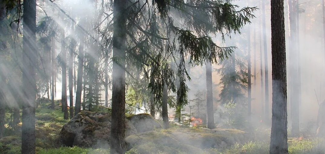 ipola.de