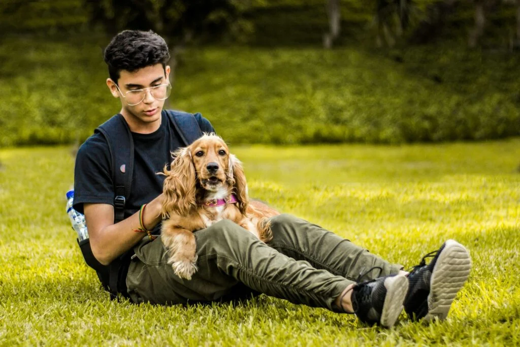 Infovet