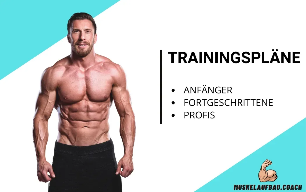 Muskelaufbau Trainingspläne & News 💪🏼 | Muskelaufbau.Coach