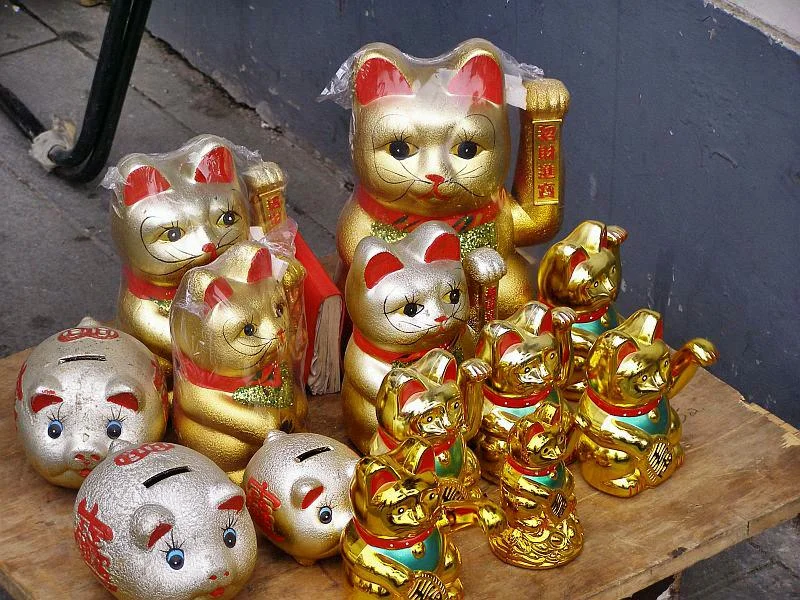 Bambooblog