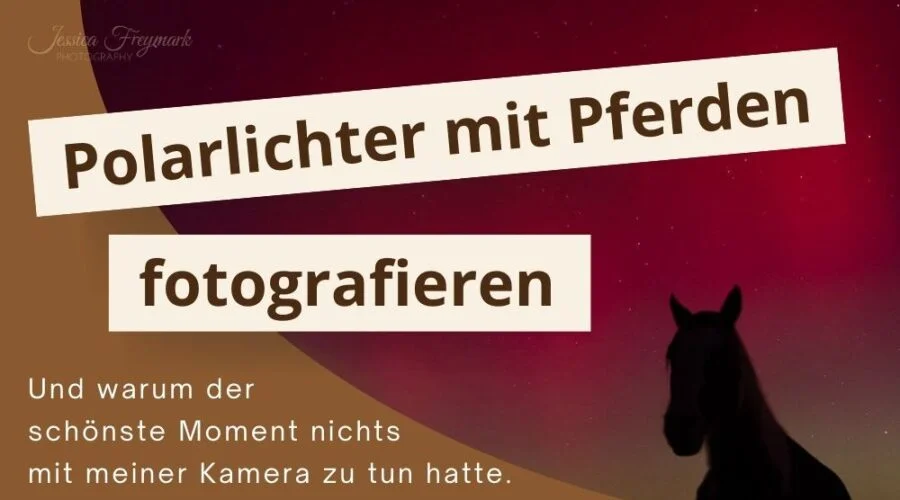Jessica Freymark - Glücksmomente mit Pferden