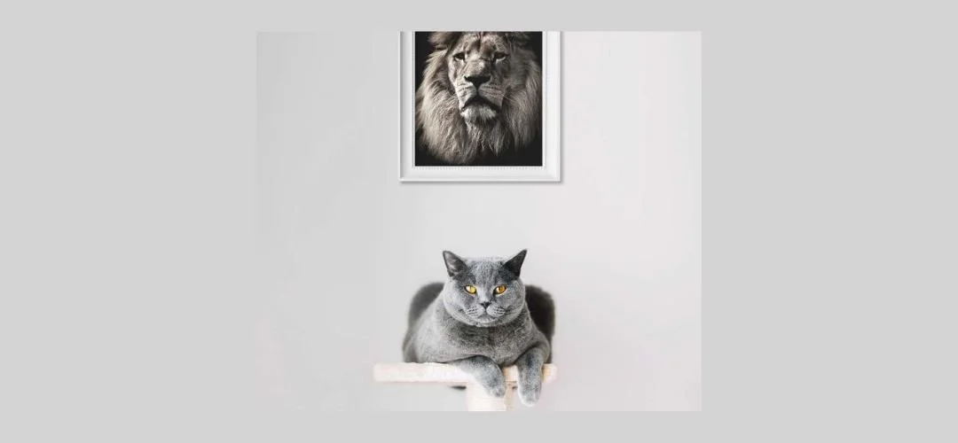 SEO Philosophie-Blog – über Sichtbarkeit & Thought Leadership