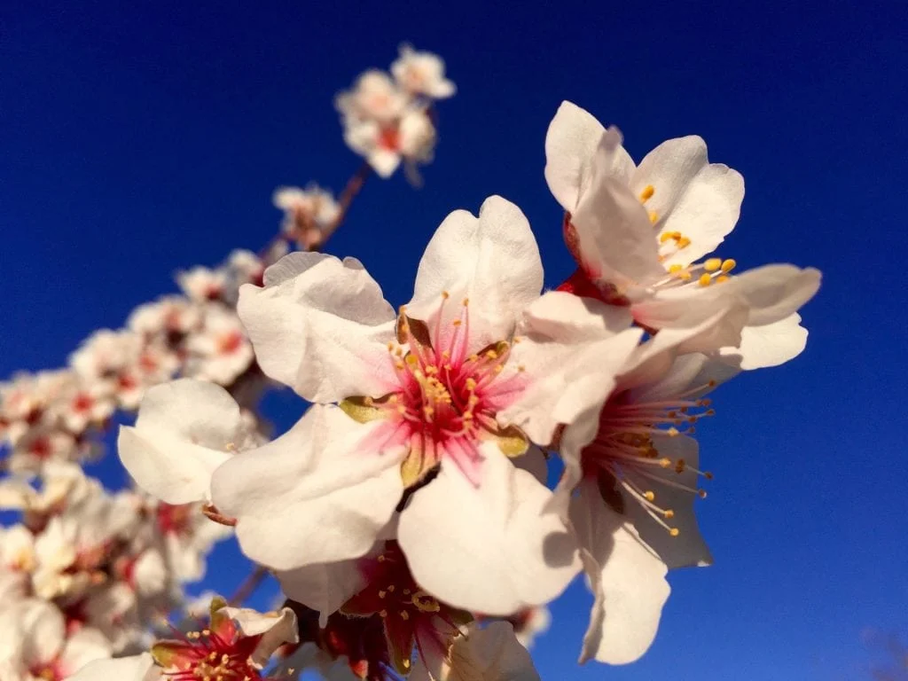 Reise und Familien Blog