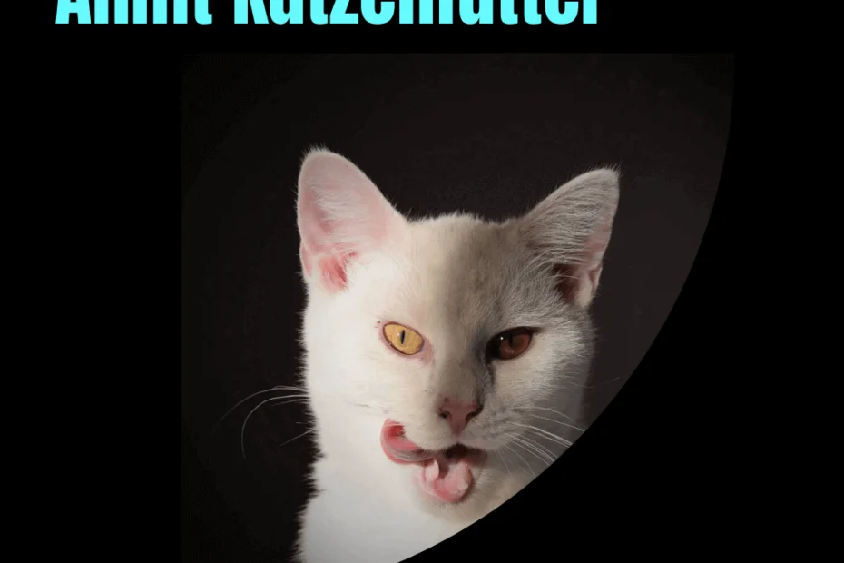 Katzenkalender -