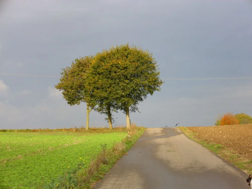 Immer auf Reisen • Reisen, Wandern, Fotografie und Mee(h)r