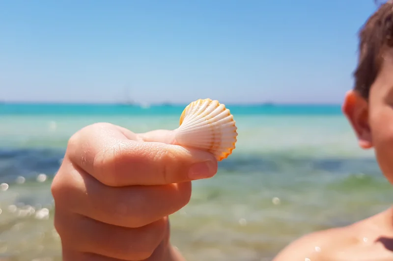 Mallorca für Kinder