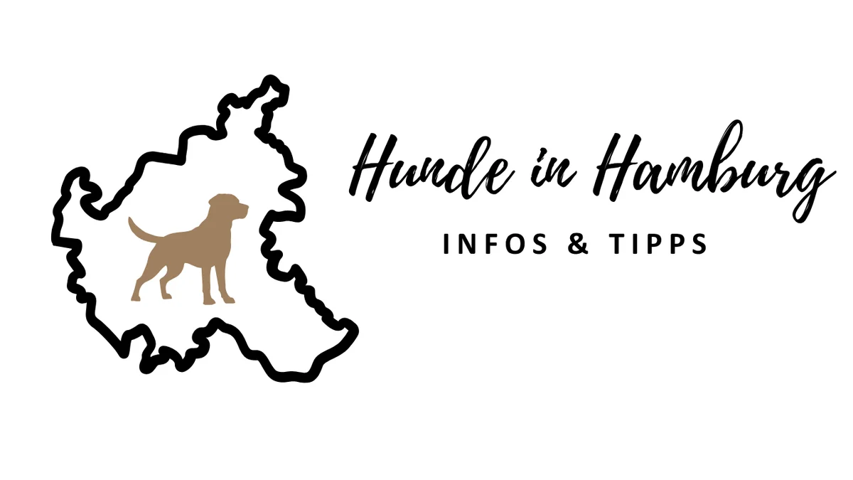Hunde in Hamburg - Leben mit Hund in der Stadt