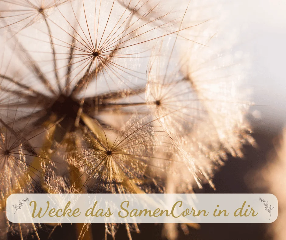 SamenCorn- Stephanie Crumbach