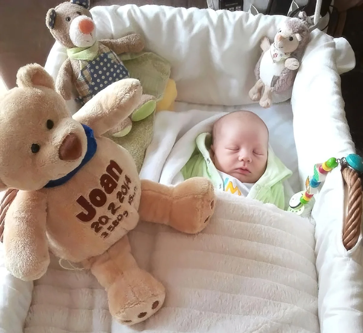Blog von Teddy4you » Plüschtiere mit Namen
