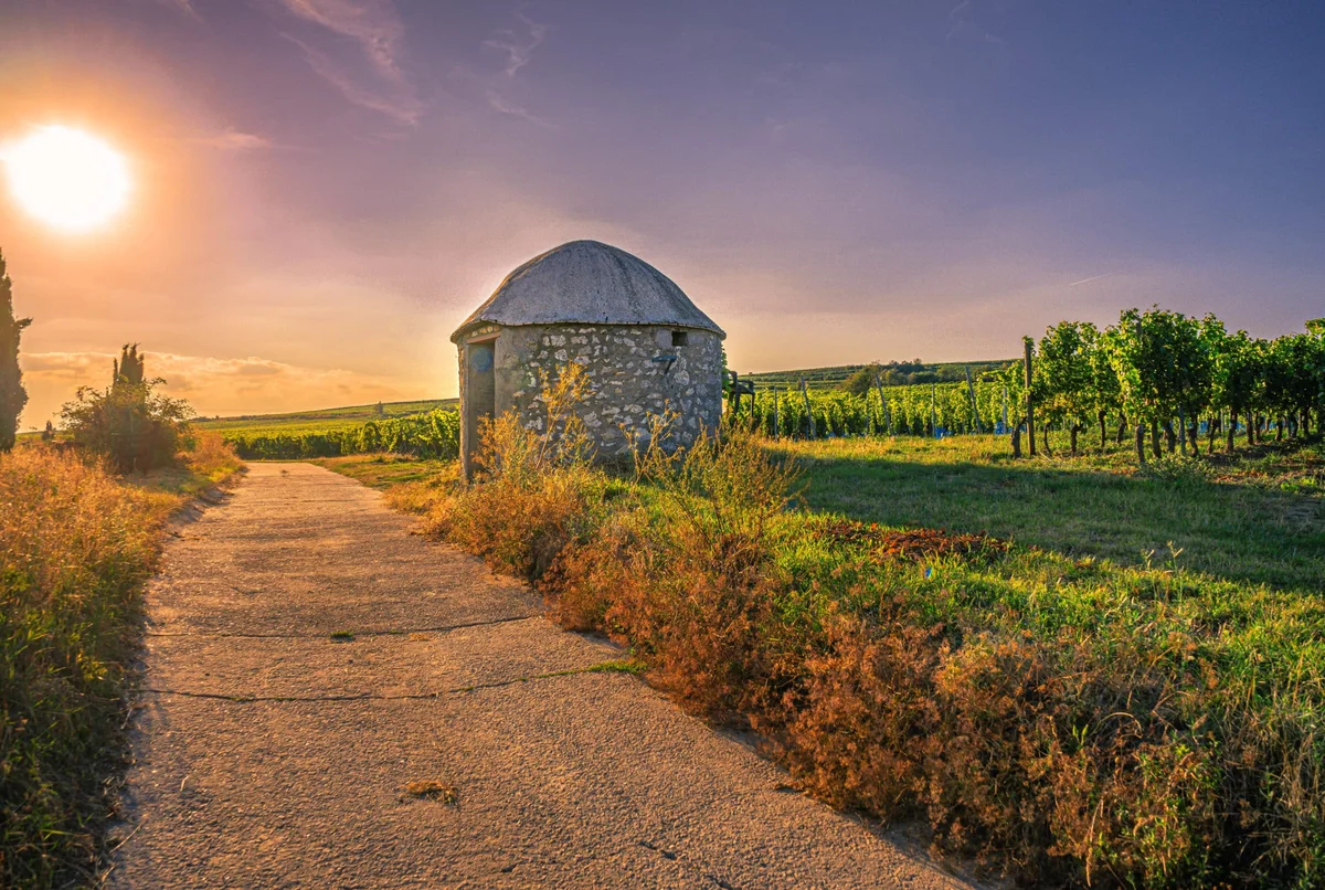 Erlebnismagazin Rheinhessen