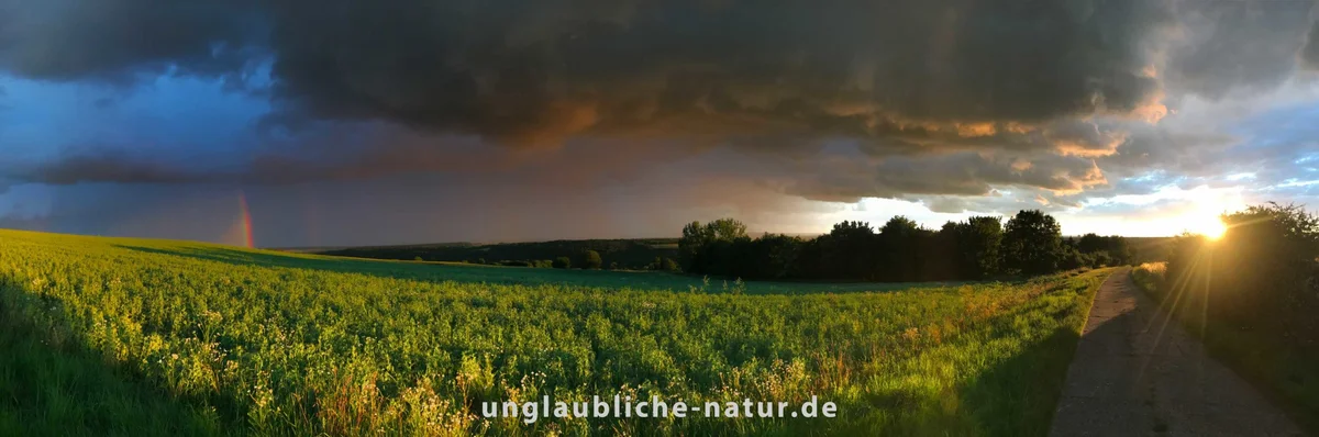 Unglaubliche Natur
