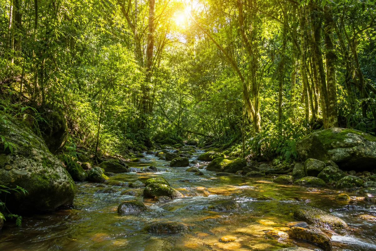 Umweltmission: Umwelt, Klima und Nachhaltigkeit