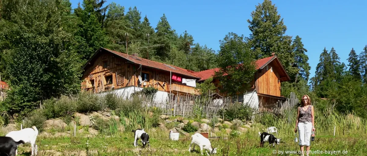 Ferienhütten in Bayern Berghütte Urlaub Selbstversorger Hütte Bayerischer Wald