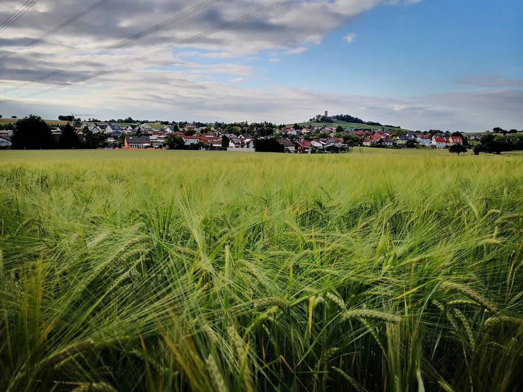 Regionalnachrichten - Jack News
